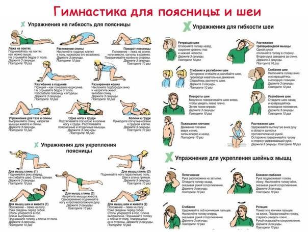Упражнения для снятия боли в спине и пояснице: бесплатные видео для занятий на дому - все курсы онлайн