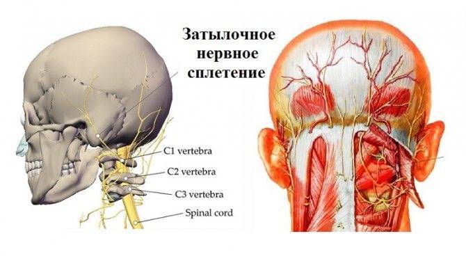 Боль в шее, болит шея