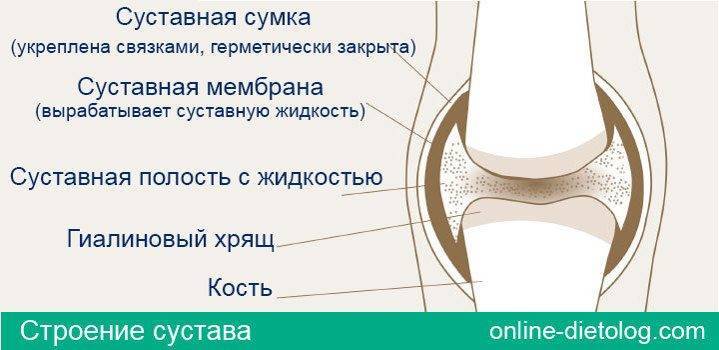 Причины скопления жидкости в суставе и методы борьбы с ними
